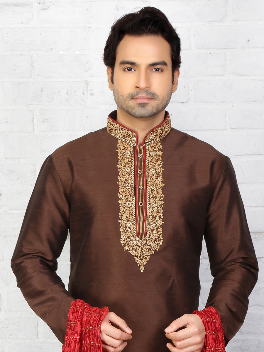 Bistre Brown Dupion Art Silk Embroidered Festival Kurta