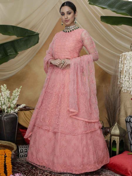 Brink Pink Net Embroidered Party Gown