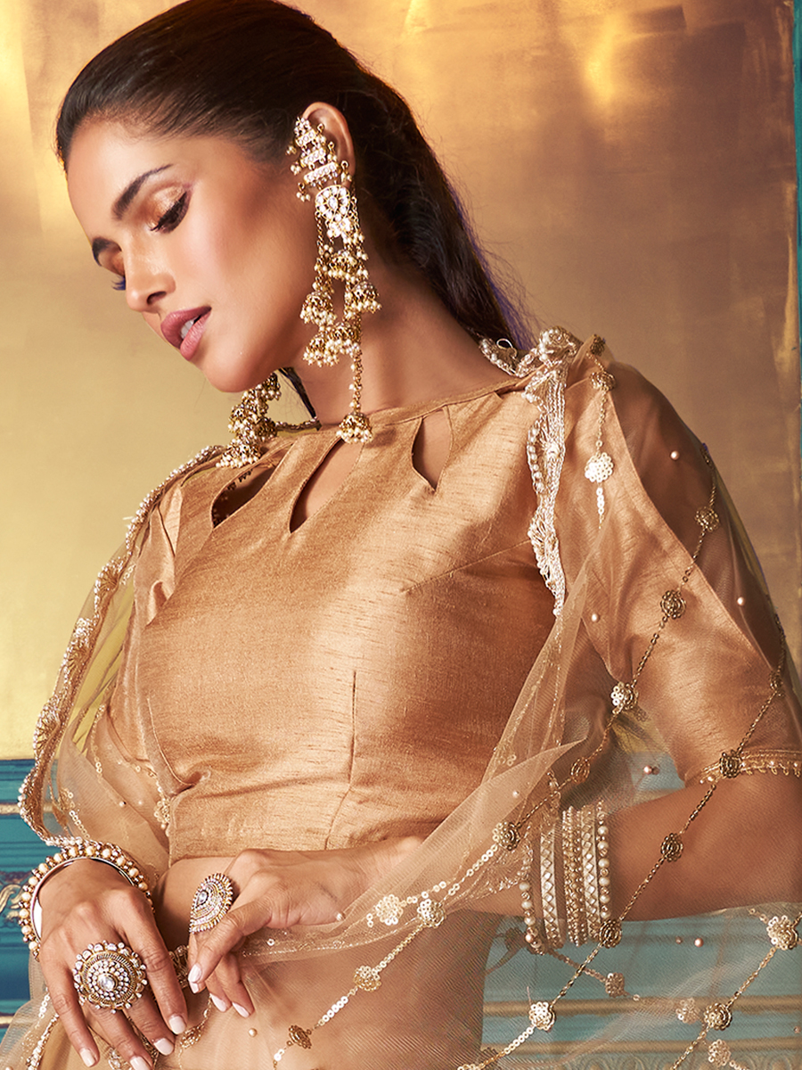 Beige Yellow Net Embroidered Festival Lehenga Choli