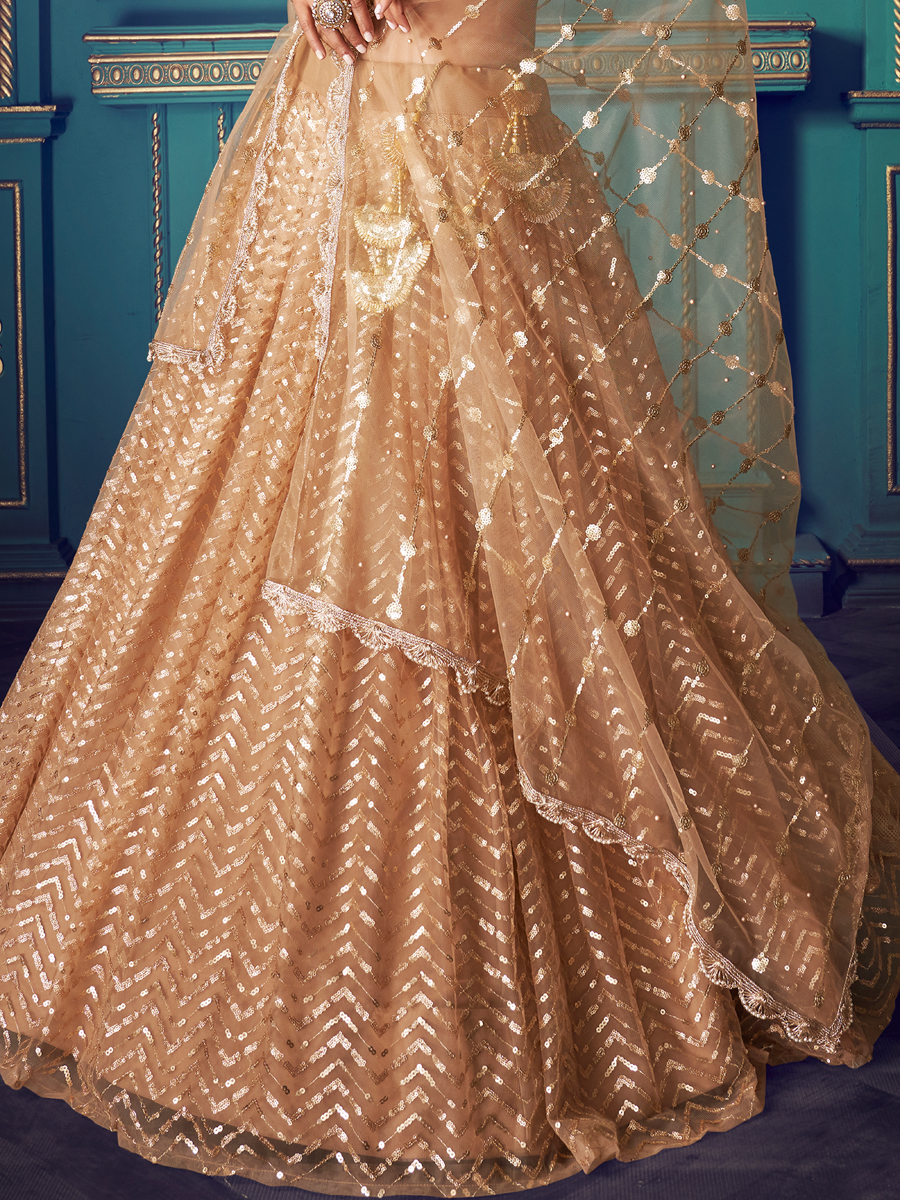 Beige Yellow Net Embroidered Festival Lehenga Choli
