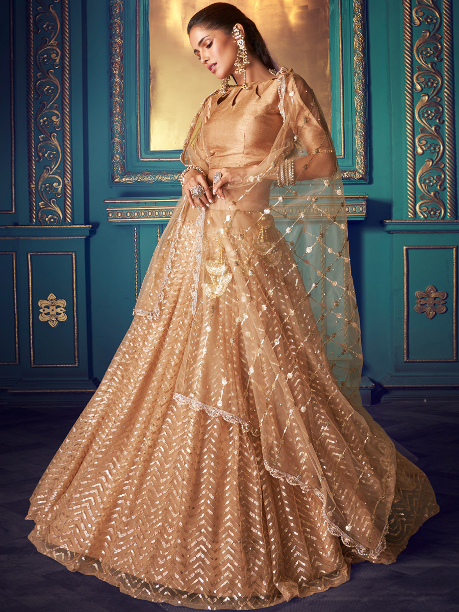 Beige Yellow Net Embroidered Festival Lehenga Choli