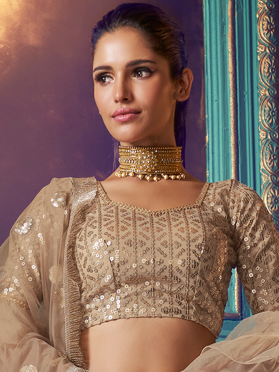 Beige Yellow Net Embroidered Festival Lehenga Choli