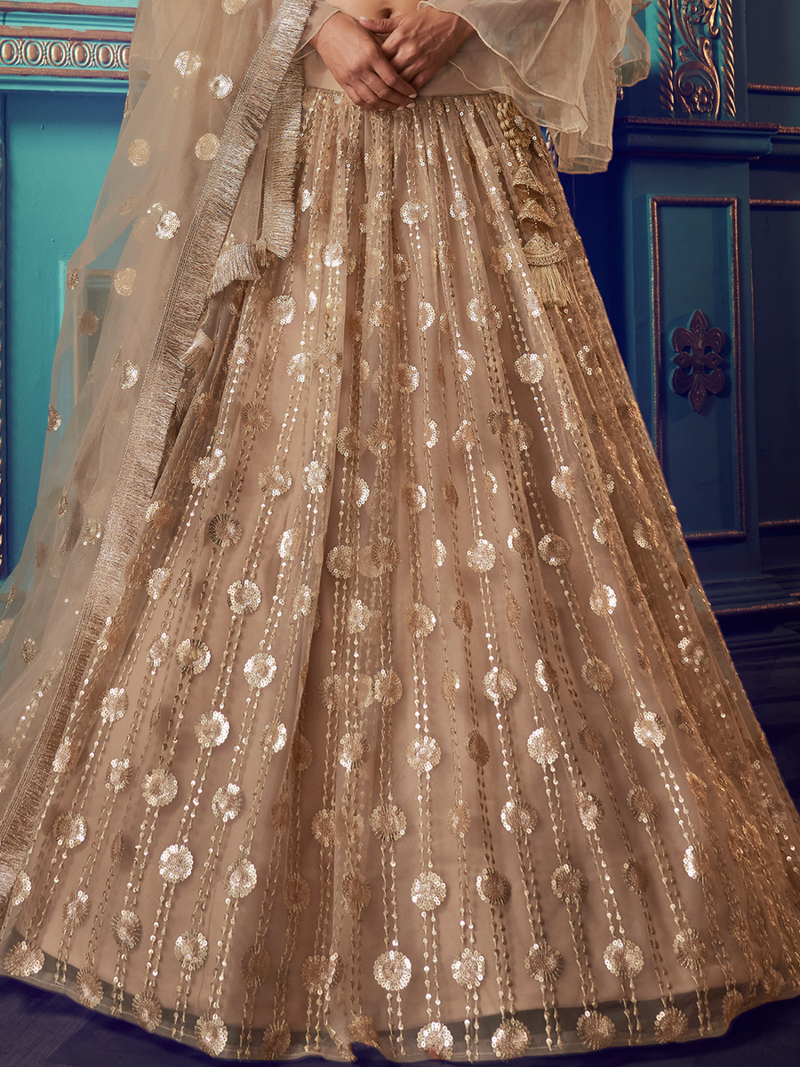 Beige Yellow Net Embroidered Festival Lehenga Choli