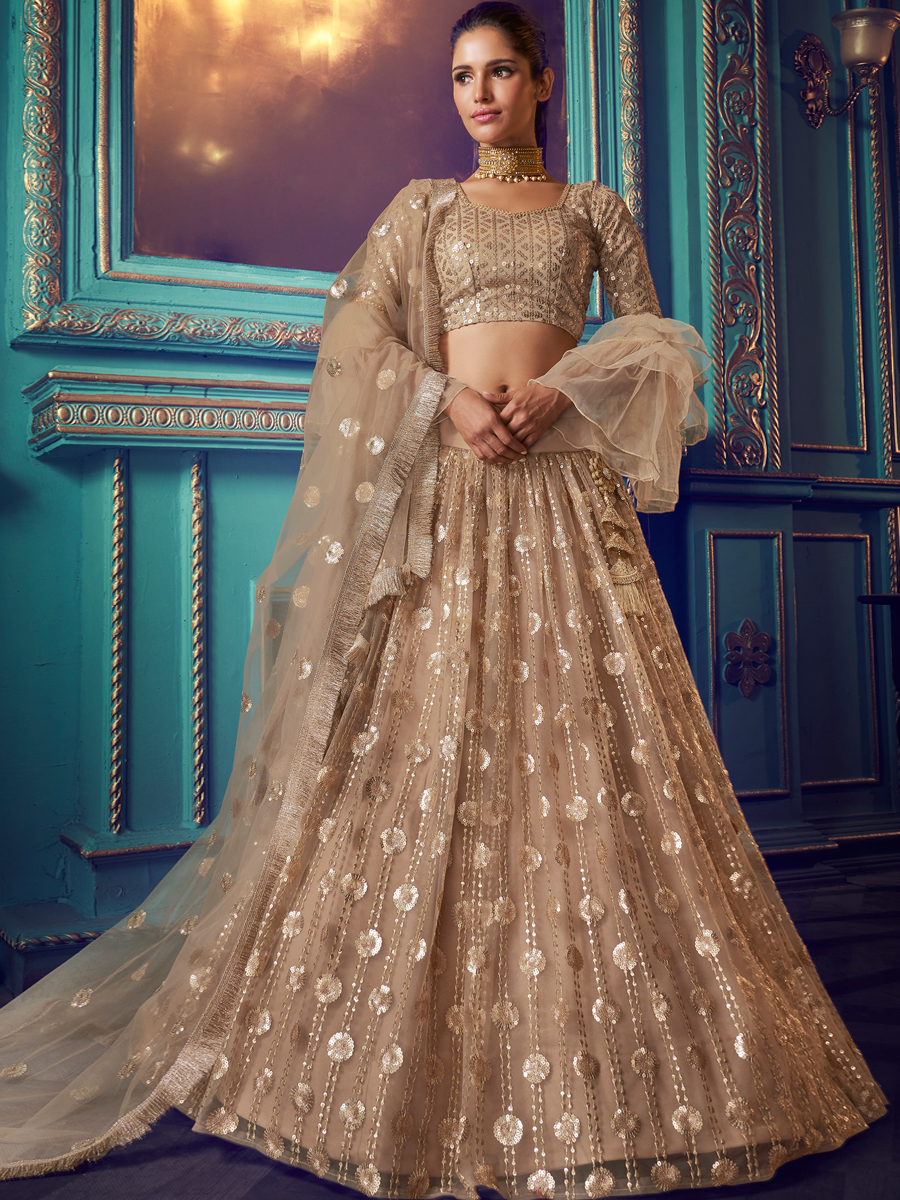 Beige Yellow Net Embroidered Festival Lehenga Choli