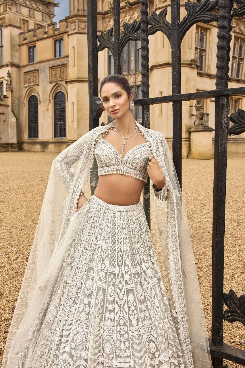 White Net Embroidery Wedding Reception Festival Heavy Border Lehenga Choli
