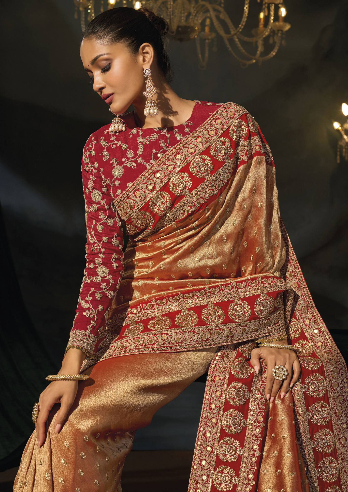 Brown Sabyasachi Silk Embroidery Bridal Reception Festival Wedding Fancy Heavy Border Saree