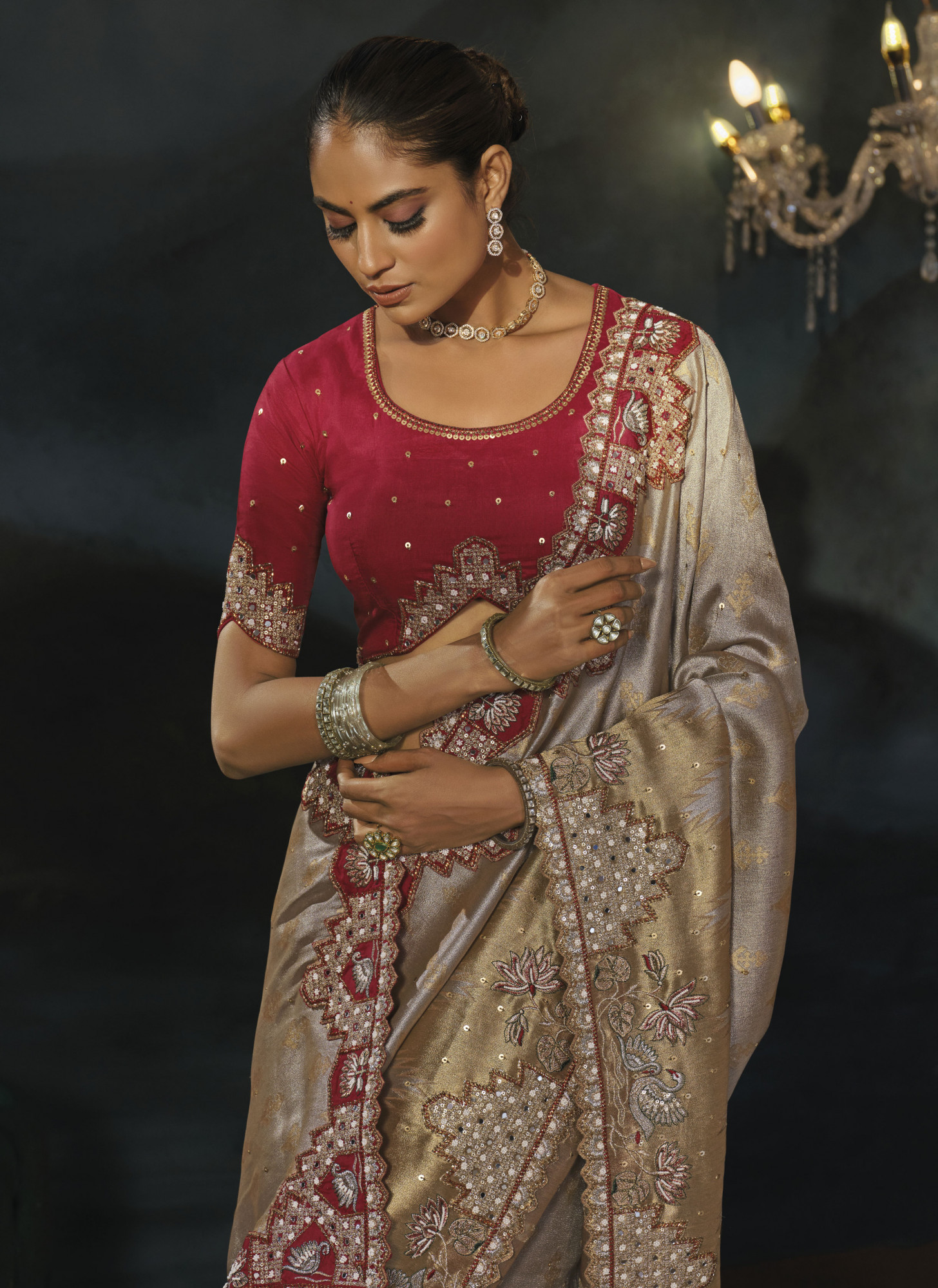 Chiku Tanchoi Silk Embroidery Bridal Reception Festival Wedding Fancy Heavy Border Saree