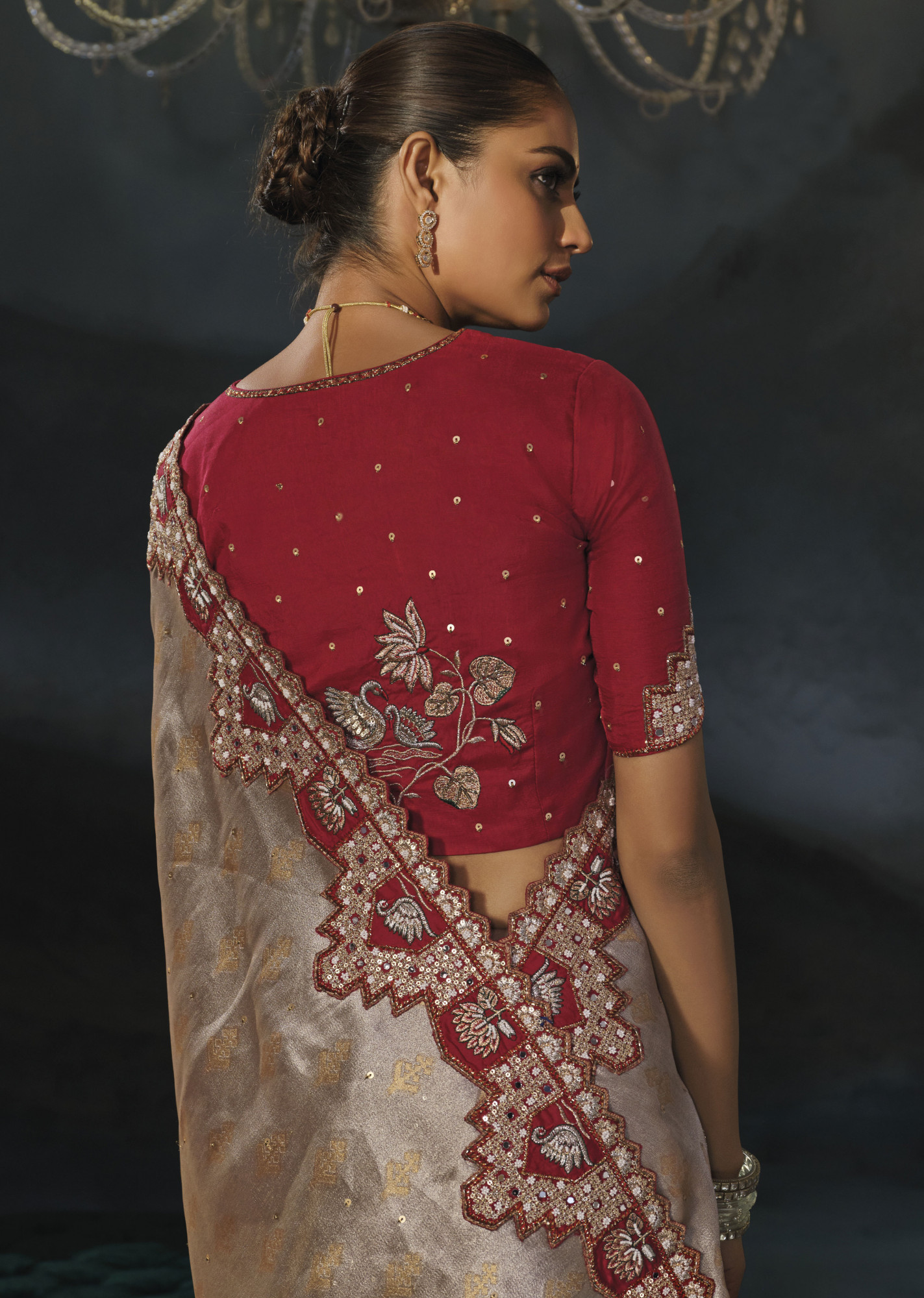 Chiku Tanchoi Silk Embroidery Bridal Reception Festival Wedding Fancy Heavy Border Saree