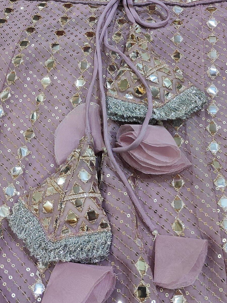 Ash Pink Semi viscose organza Embroidery Sequins Zari Wedding Reception Party Festival Heavy Border Lehenga Choli