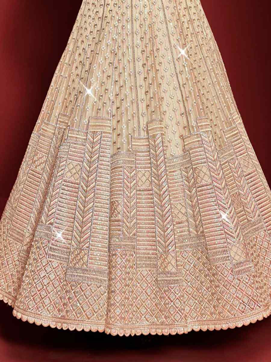 Beige Buterfly Net Embroidered Wedding Festival Anarkali Salwar Kameez
