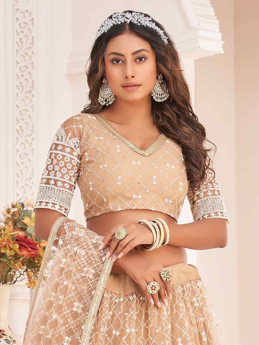 Beige Butterfly Net Embroidered Party Wear Festival Heavy Border Lehenga Choli