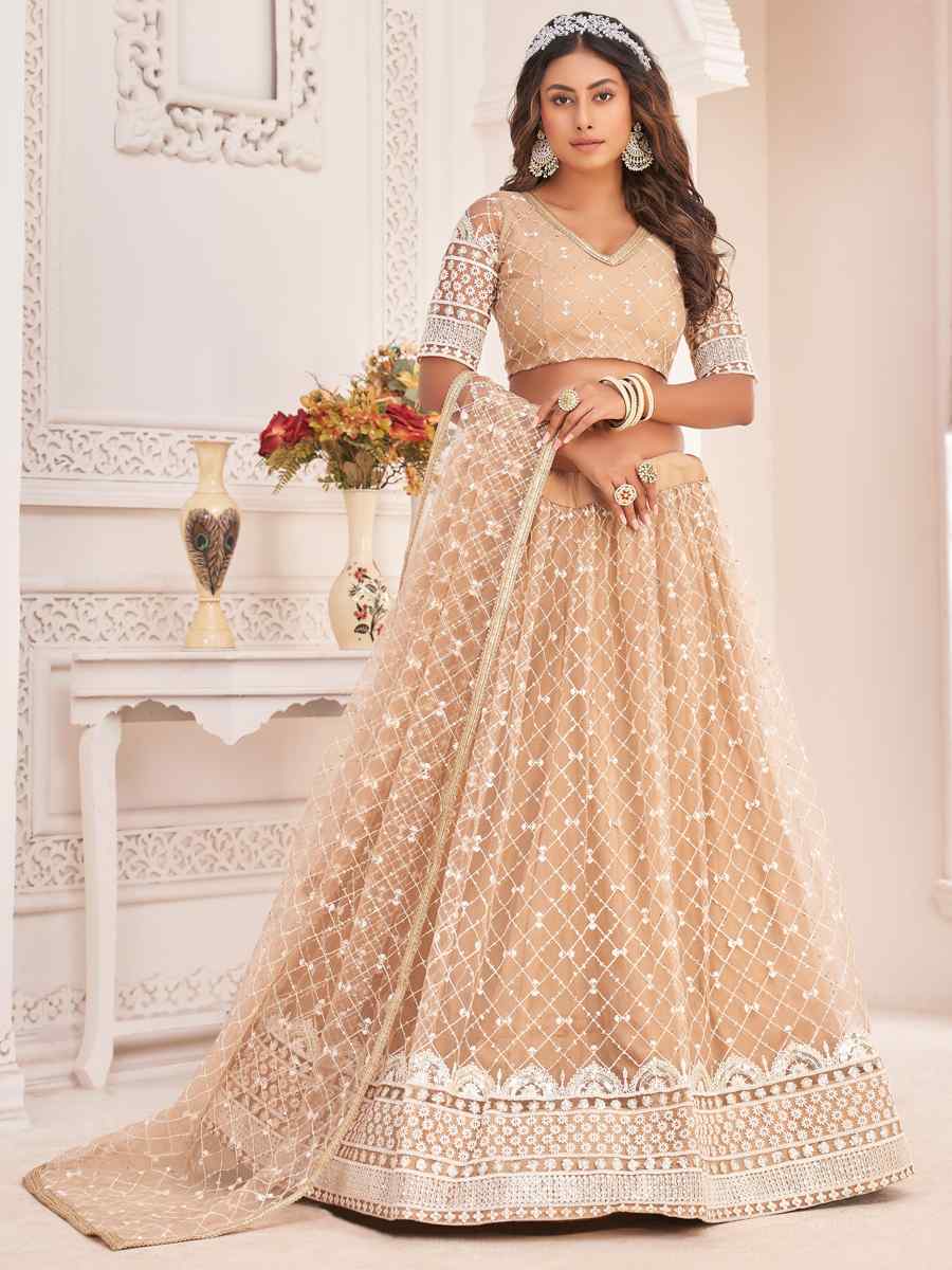 Beige Butterfly Net Embroidered Party Wear Festival Heavy Border Lehenga Choli
