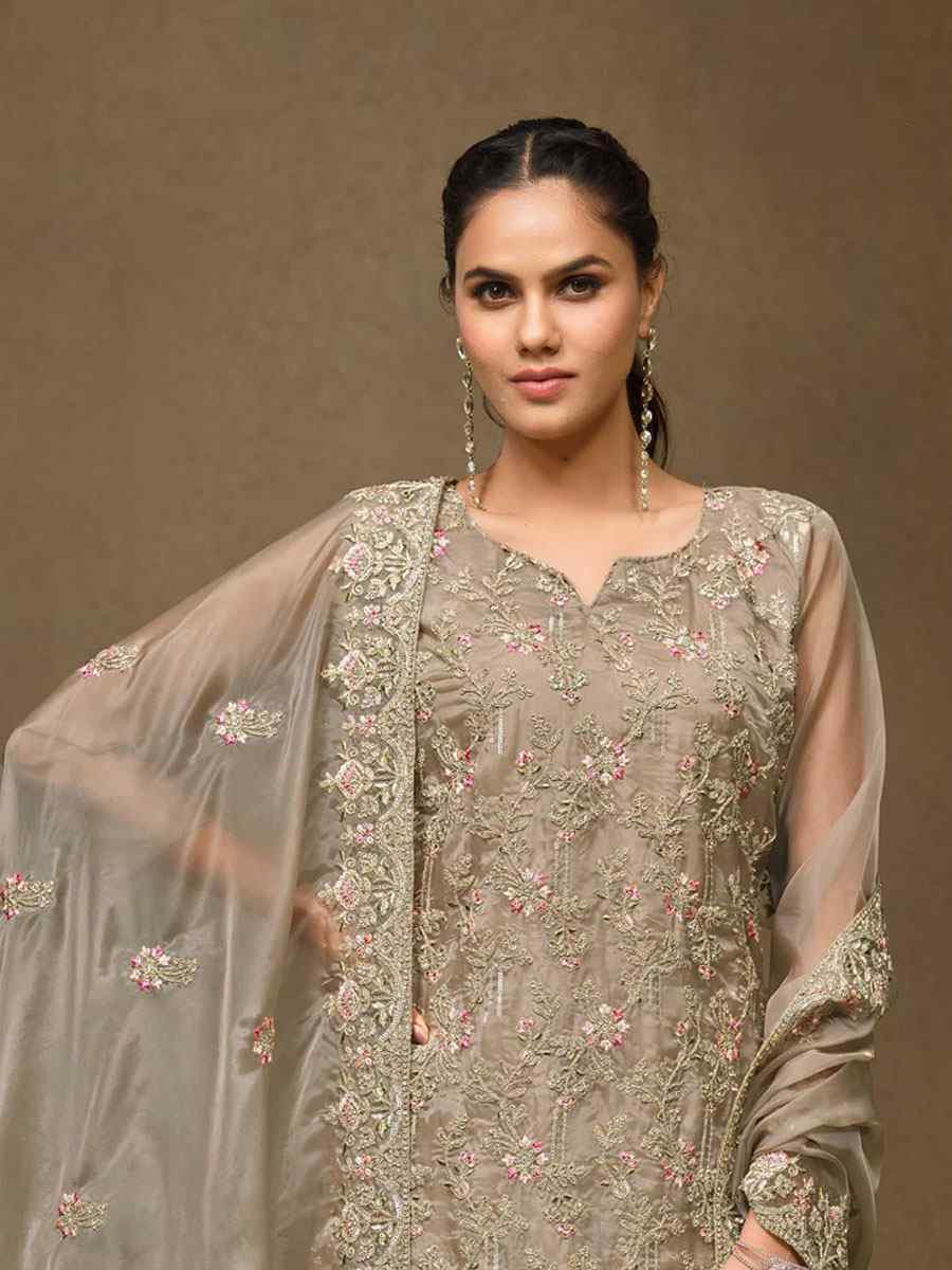 Beige Crystal Organza Embroidered Casual Festival Pant Salwar Kameez