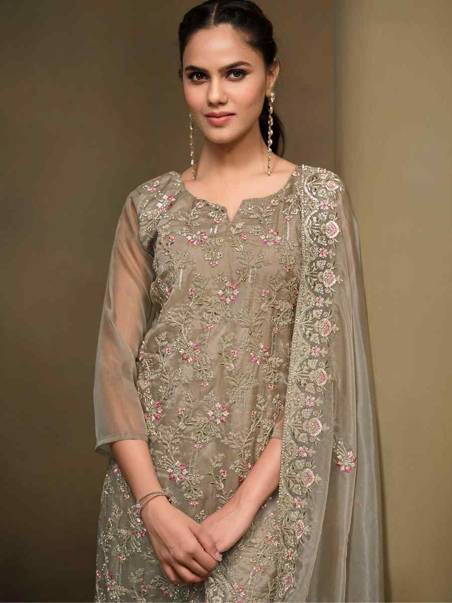 Beige Crystal Organza Embroidered Casual Festival Pant Salwar Kameez