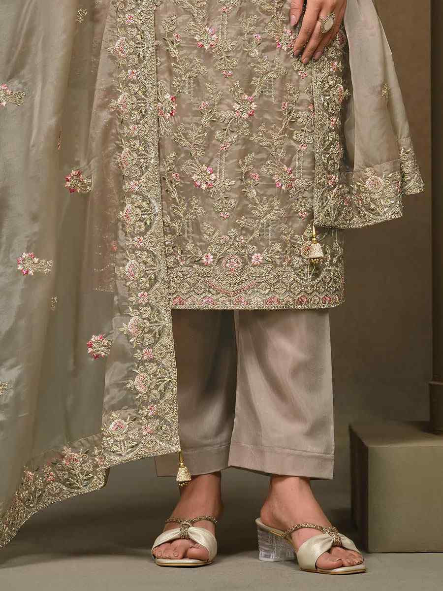 Beige Crystal Organza Embroidered Casual Festival Pant Salwar Kameez