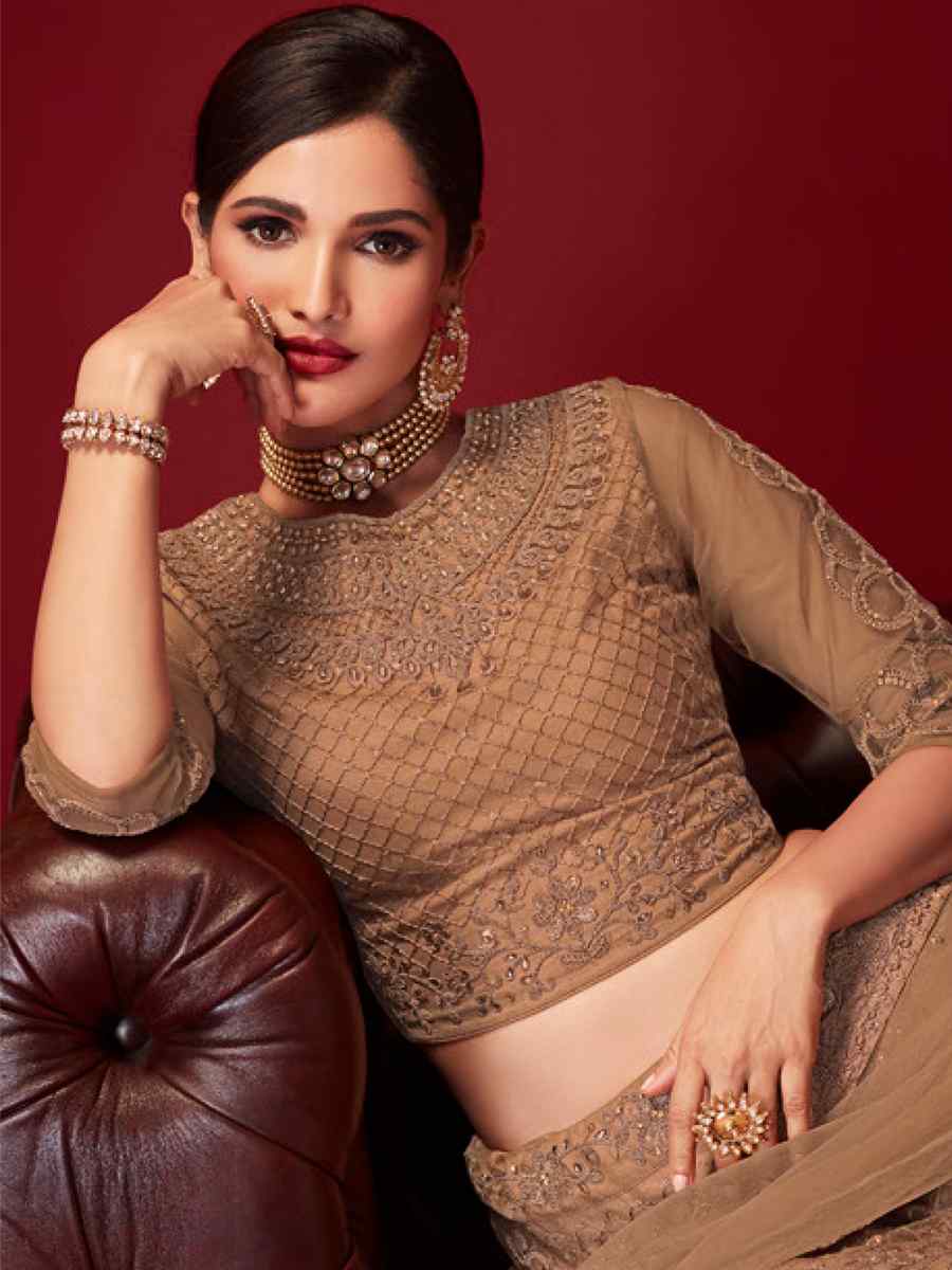 Beige Net Embroidered Bridal Reception Heavy Border Lehenga Choli