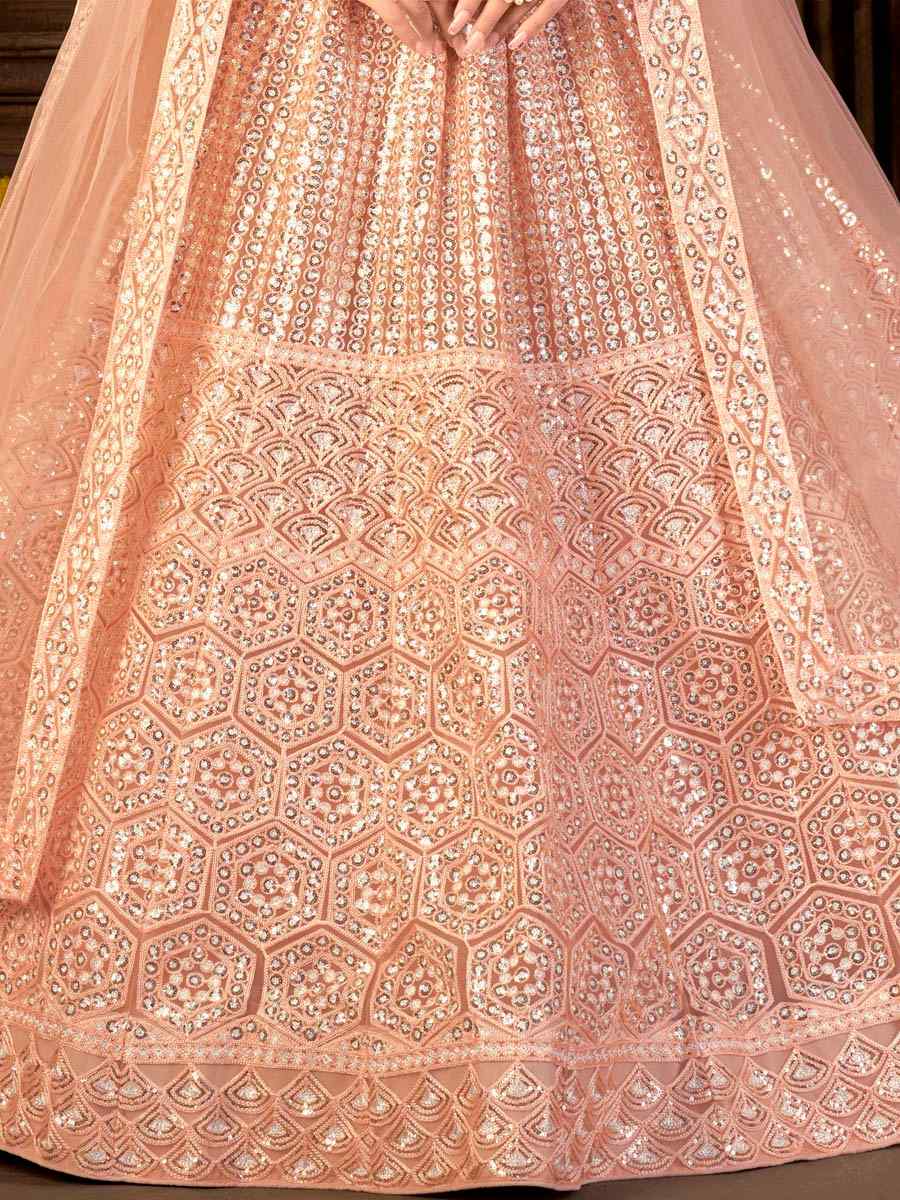 Beige Net Embroidered Festival Party Wear Heavy Border Lehenga Choli