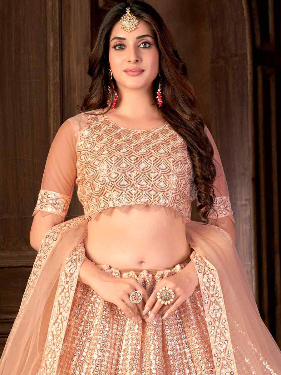 Beige Net Embroidered Festival Party Wear Heavy Border Lehenga Choli