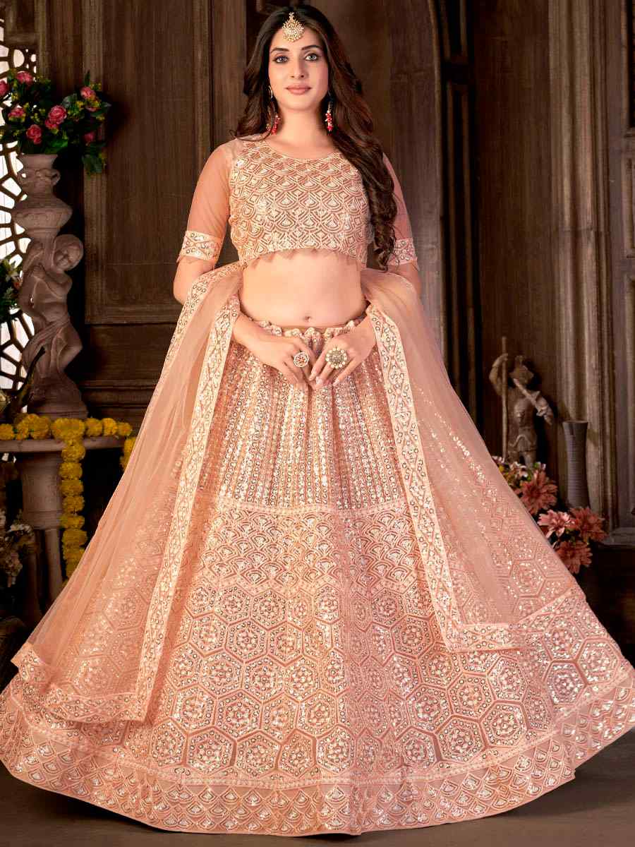 Beige Net Embroidered Festival Party Wear Heavy Border Lehenga Choli