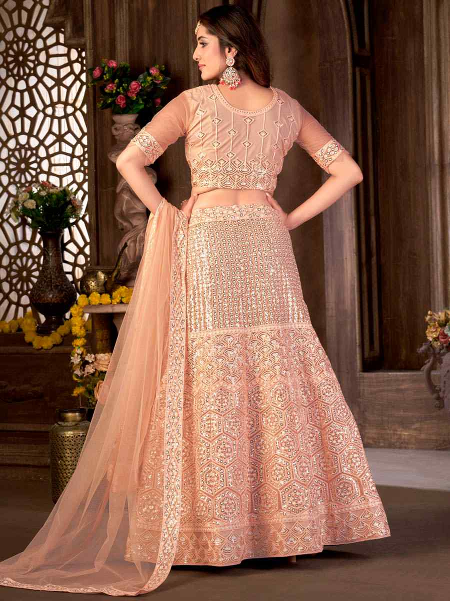 Beige Net Embroidered Festival Party Wear Heavy Border Lehenga Choli