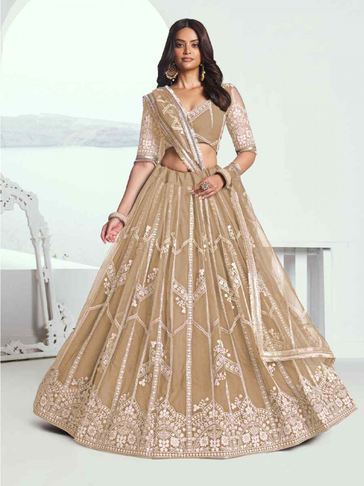 Image of Beige Net Embroidered Wedding Reception Festival Heavy Border Lehenga Choli