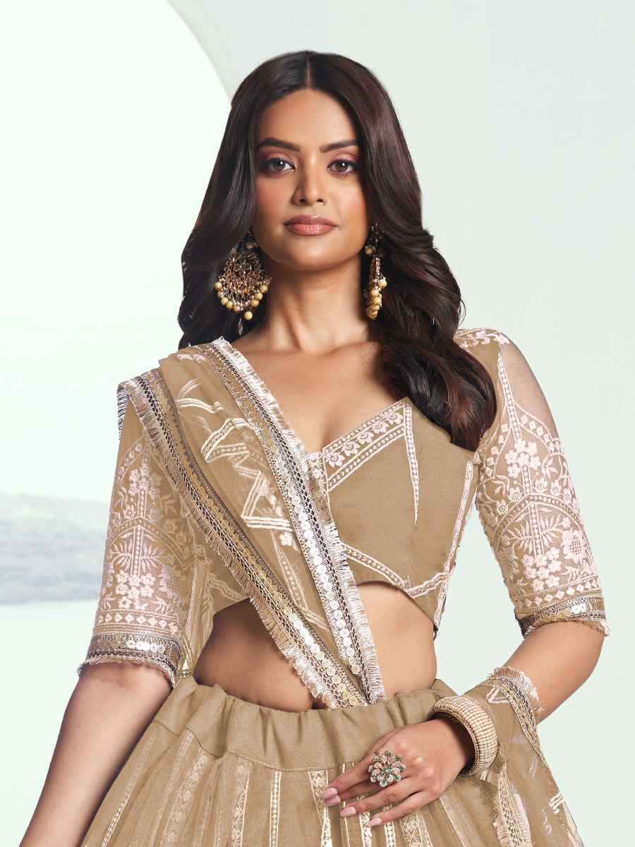 Beige Net Embroidered Wedding Reception Festival Heavy Border Lehenga Choli