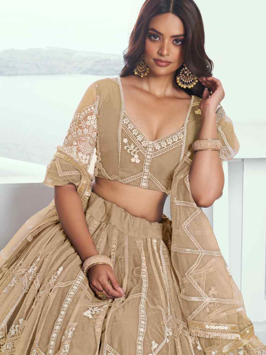Beige Net Embroidered Wedding Reception Festival Heavy Border Lehenga Choli