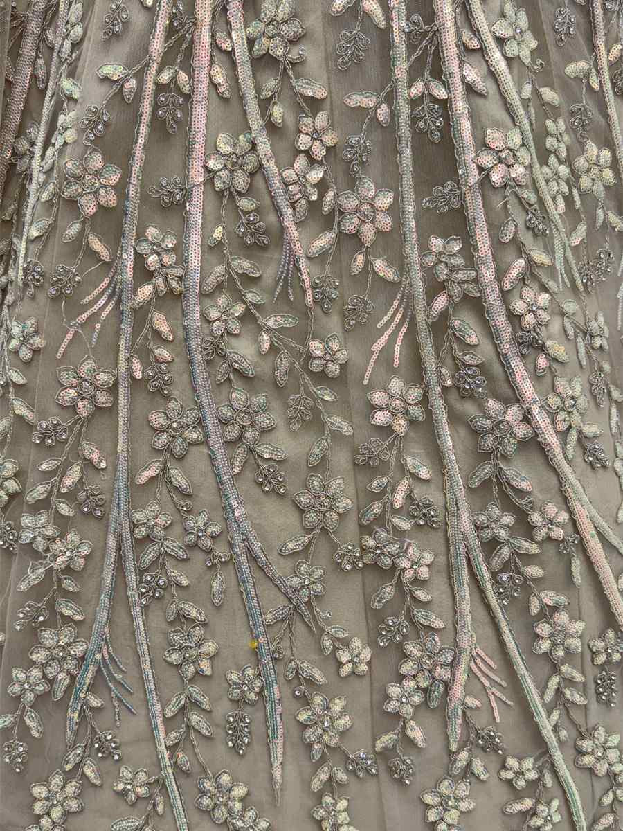 Beige Net Embroidered Wedding Reception Festival Heavy Border Lehenga Choli