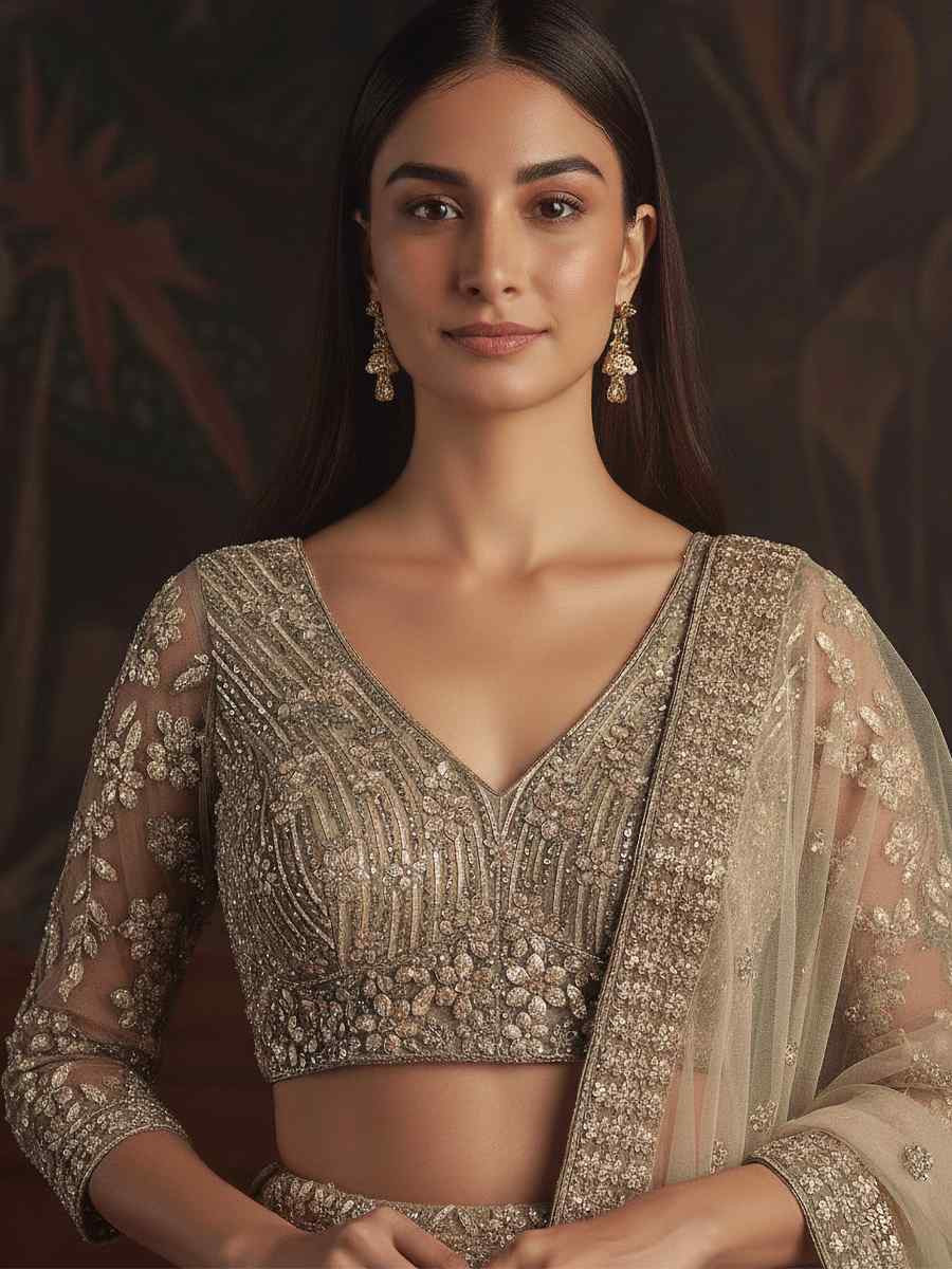 Beige Net Embroidered Wedding Reception Festival Heavy Border Lehenga Choli