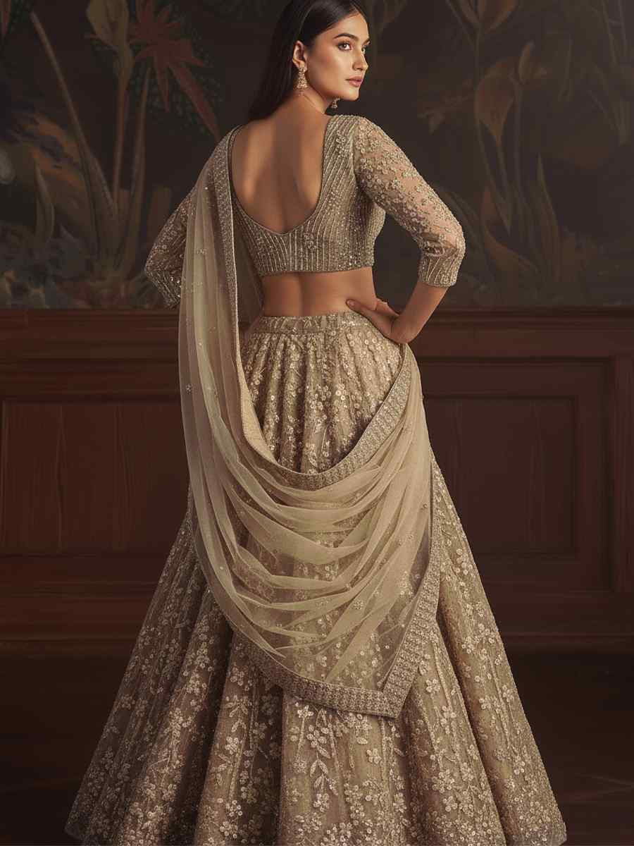 Beige Net Embroidered Wedding Reception Festival Heavy Border Lehenga Choli