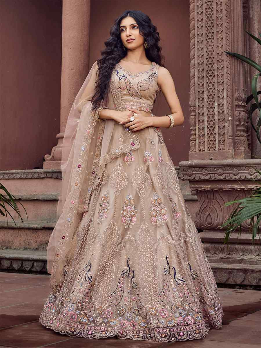 Beige Net Embroidered Wedding Reception Festival Heavy Border Lehenga Choli