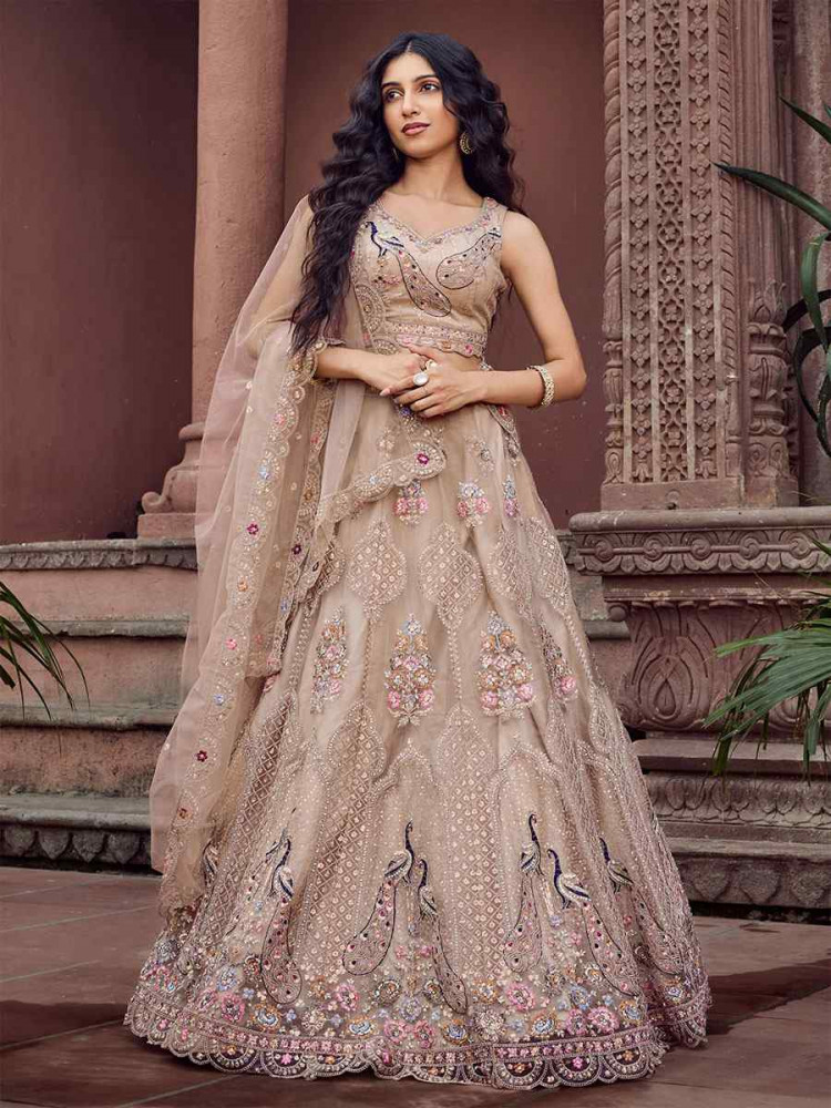 Image of Beige Net Embroidered Wedding Reception Festival Heavy Border Lehenga Choli
