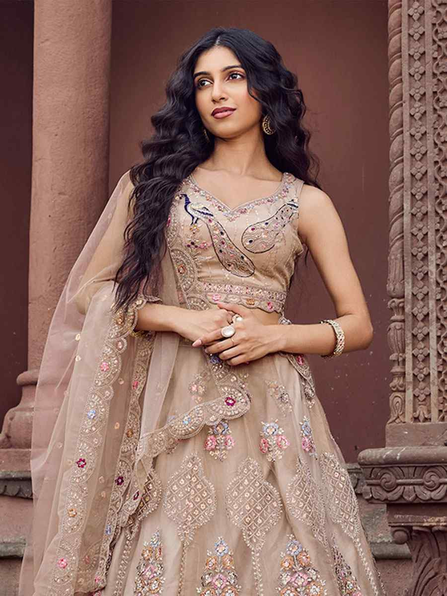 Beige Net Embroidered Wedding Reception Festival Heavy Border Lehenga Choli