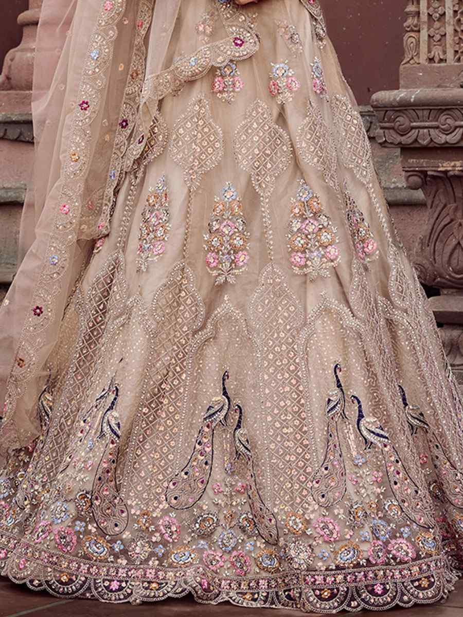 Beige Net Embroidered Wedding Reception Festival Heavy Border Lehenga Choli