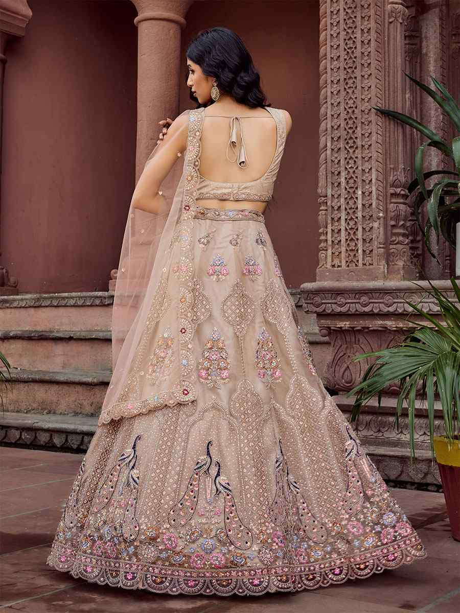 Beige Net Embroidered Wedding Reception Festival Heavy Border Lehenga Choli