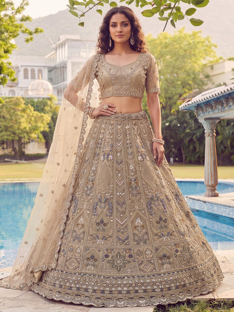 Beige Net Embroidery Zari Sequins Zircon Diamond Work Wedding Reception Party Festival Heavy Border Lehenga Choli