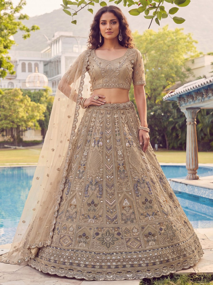 Image of Beige Net Embroidery Zari Sequins Zircon Diamond Work Wedding Reception Party Festival Heavy Border Lehenga Choli