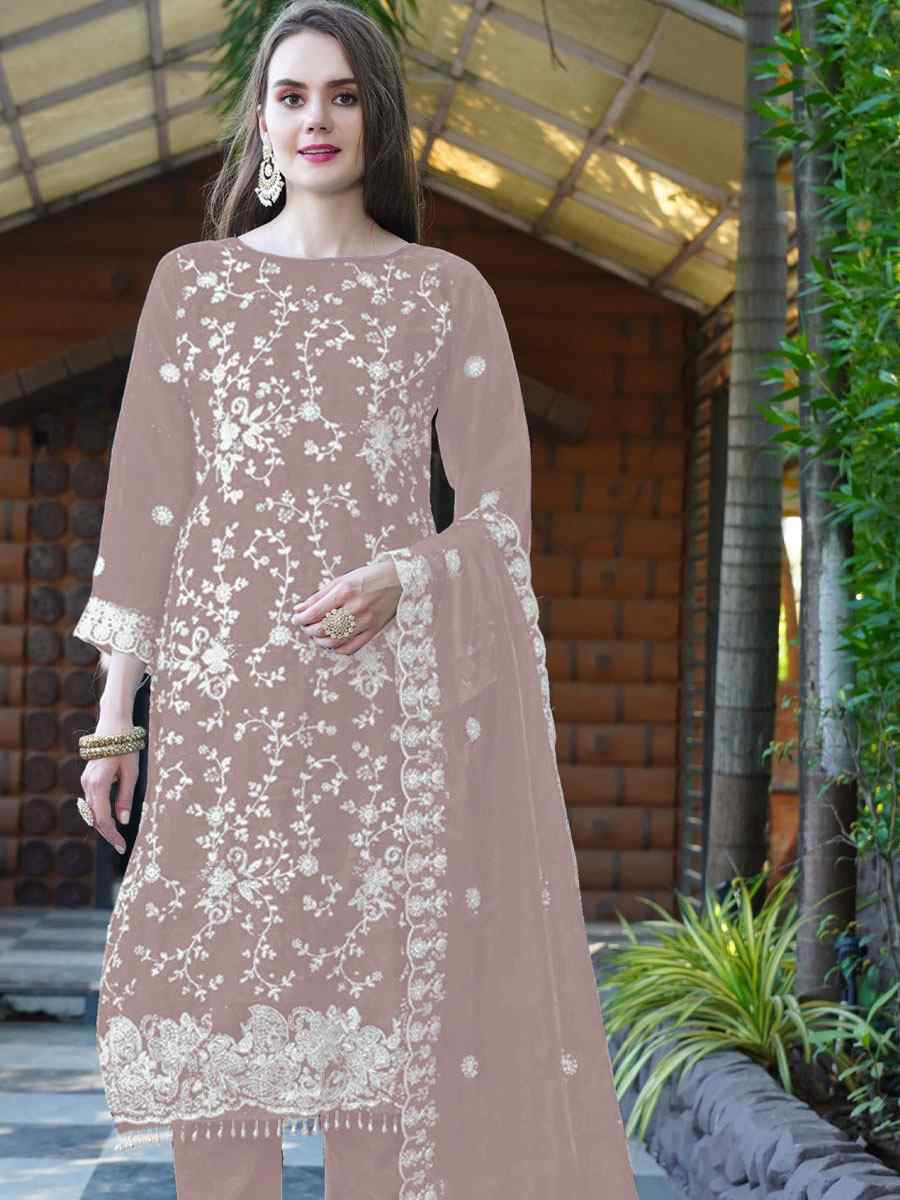 Beige Organza Embroidered Festival Wedding Pant Salwar Kameez
