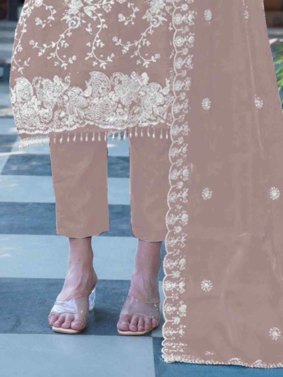 Beige Organza Embroidered Festival Wedding Pant Salwar Kameez