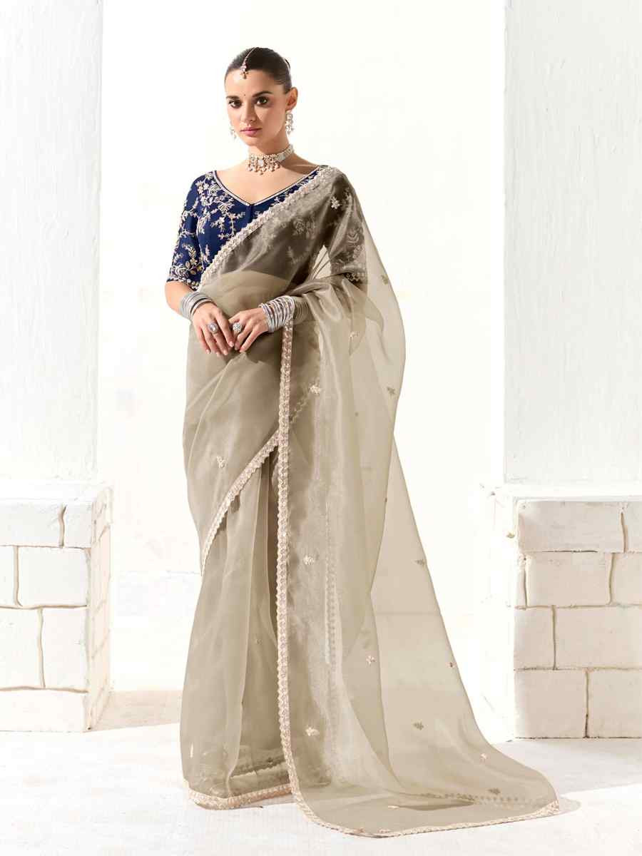 Beige Organza Tissue Embroidered Festival Wedding Fancy Heavy Border Saree