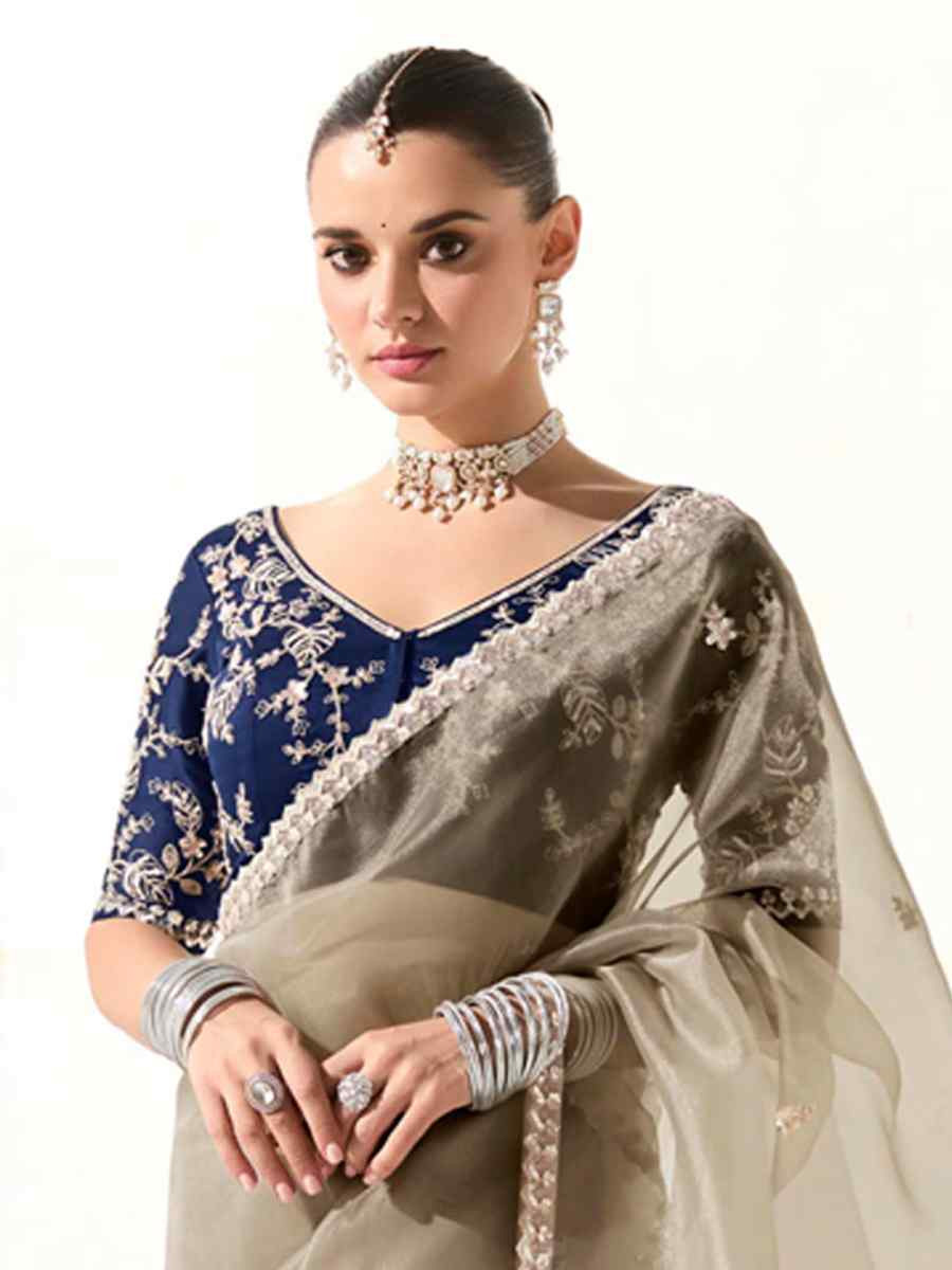 Beige Organza Tissue Embroidered Festival Wedding Fancy Heavy Border Saree