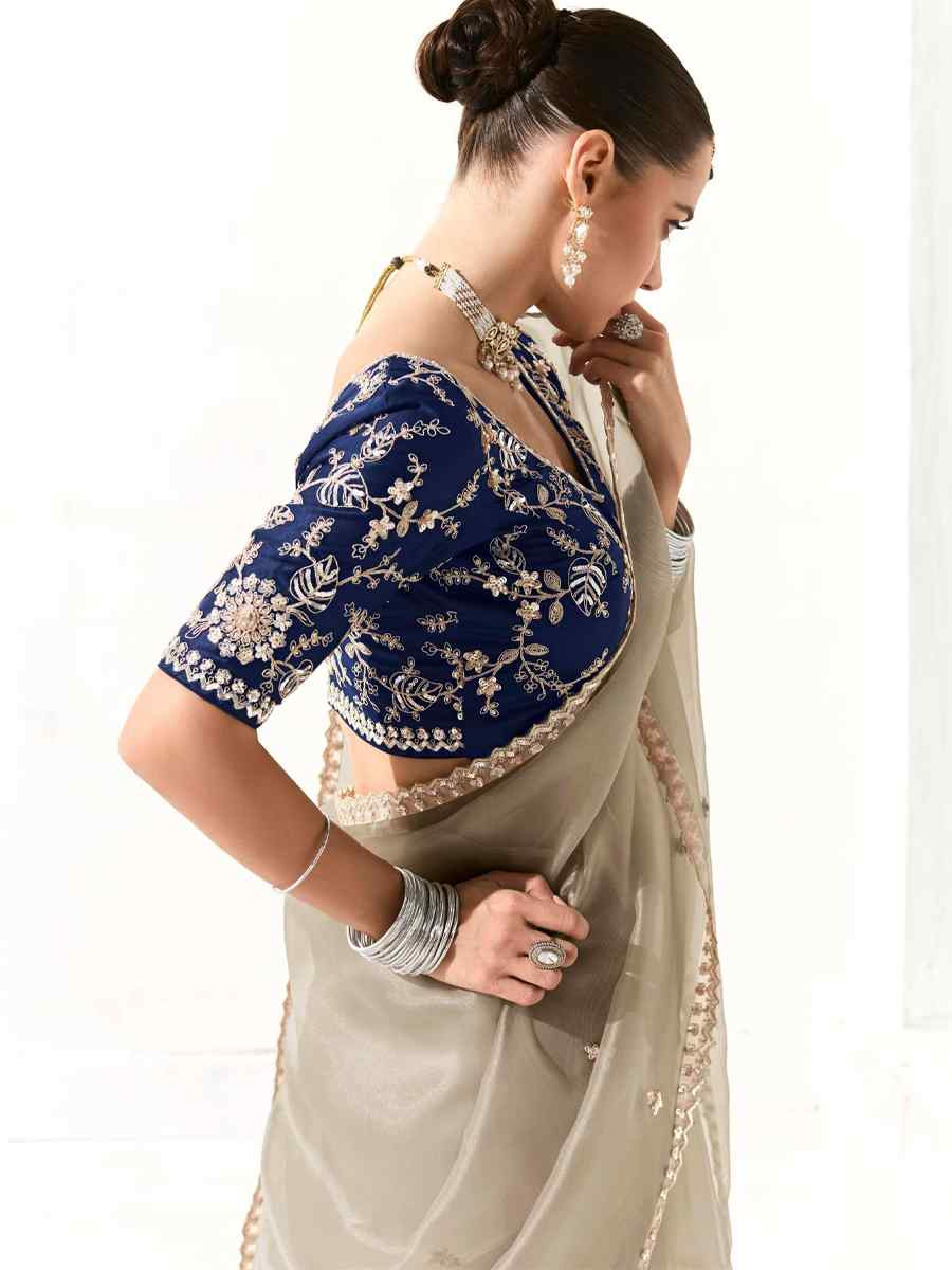 Beige Organza Tissue Embroidered Festival Wedding Fancy Heavy Border Saree