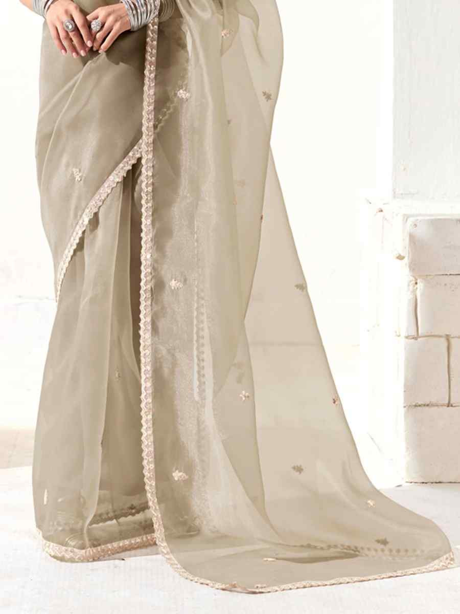 Beige Organza Tissue Embroidered Festival Wedding Fancy Heavy Border Saree