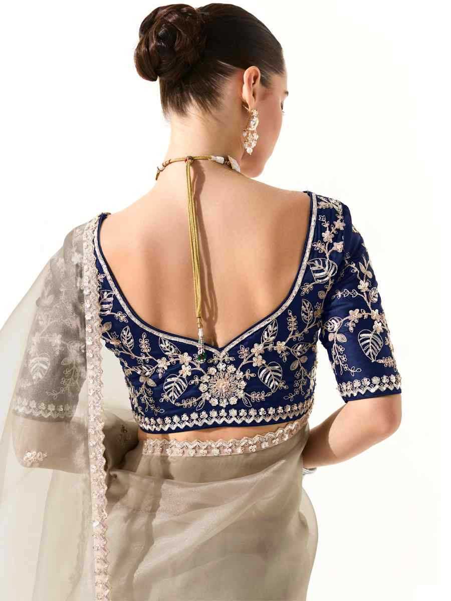 Beige Organza Tissue Embroidered Festival Wedding Fancy Heavy Border Saree