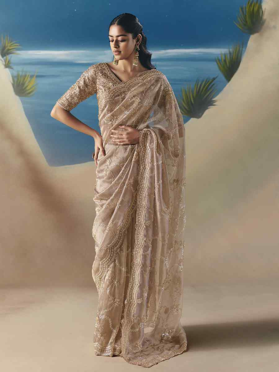 Beige Premium Satin Organza Embroidery Traditional Bridal Reception Festival Wedding Fancy Heavy Border Saree