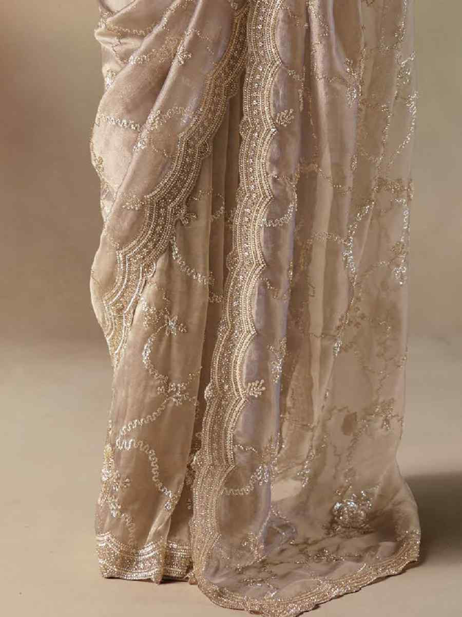 Beige Premium Satin Organza Embroidery Traditional Bridal Reception Festival Wedding Fancy Heavy Border Saree