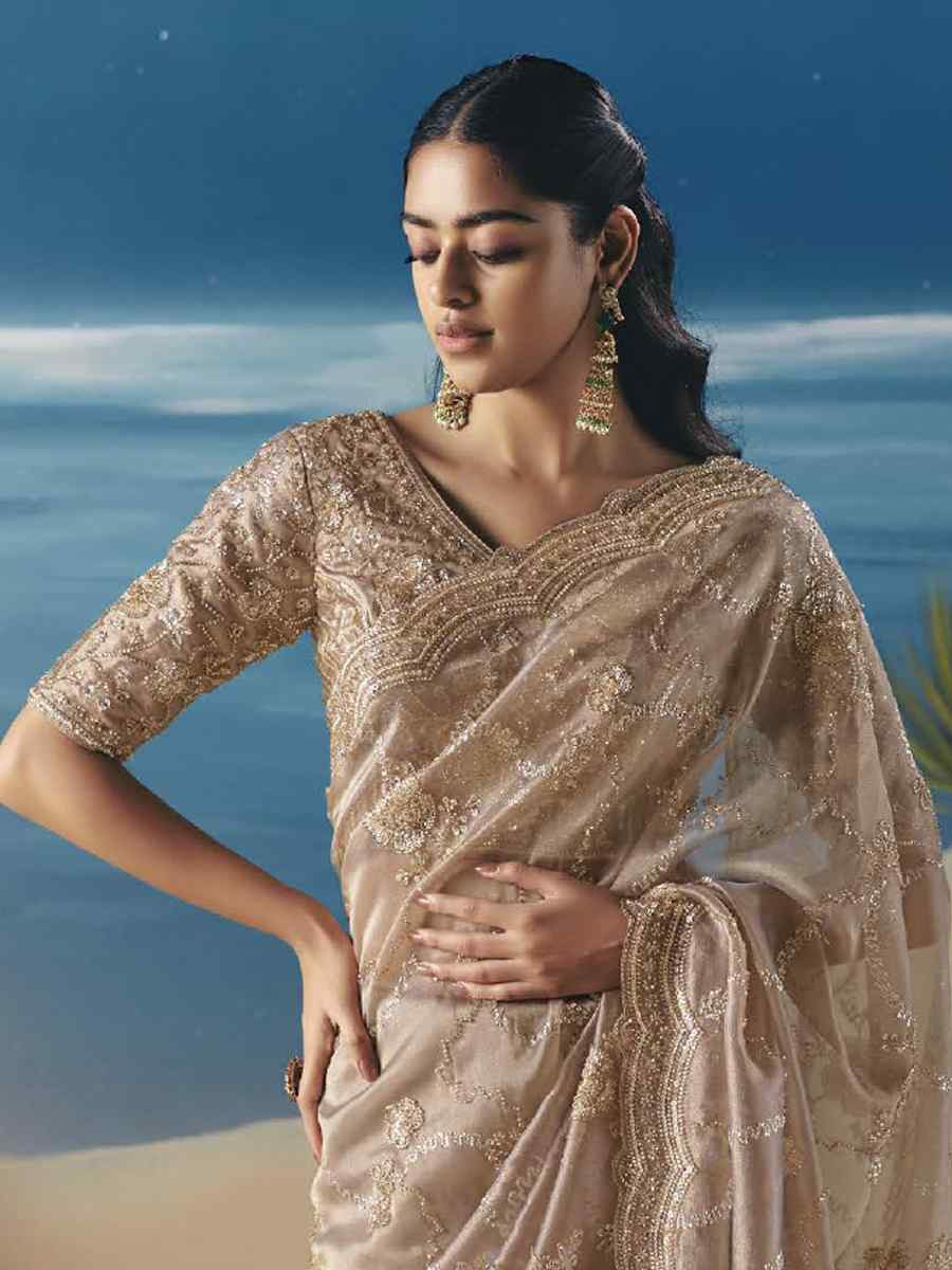 Beige Premium Satin Organza Embroidery Traditional Bridal Reception Festival Wedding Fancy Heavy Border Saree