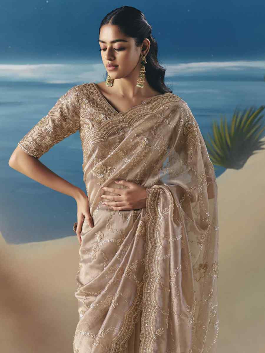 Beige Premium Satin Organza Embroidery Traditional Bridal Reception Festival Wedding Fancy Heavy Border Saree