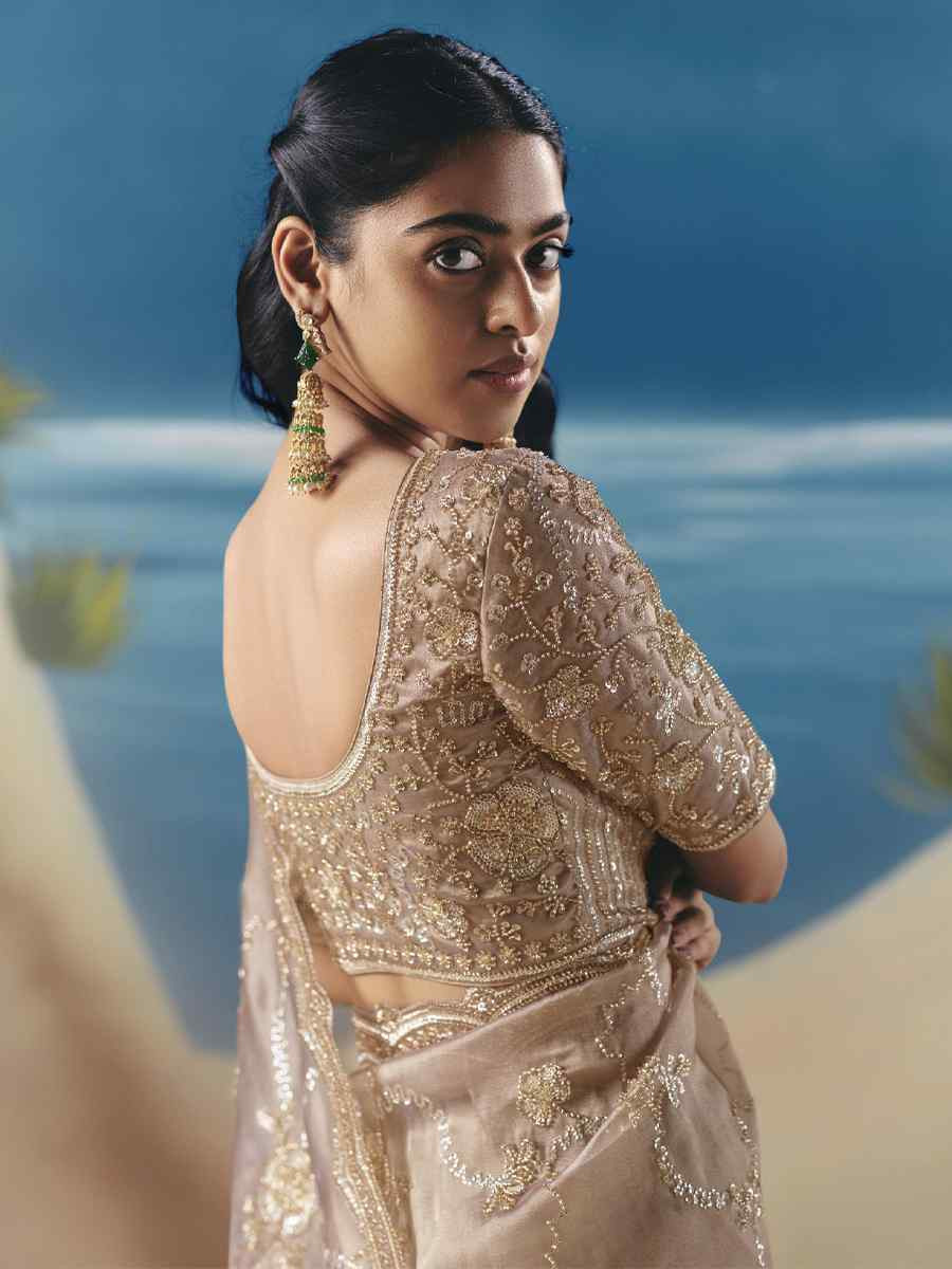 Beige Premium Satin Organza Embroidery Traditional Bridal Reception Festival Wedding Fancy Heavy Border Saree