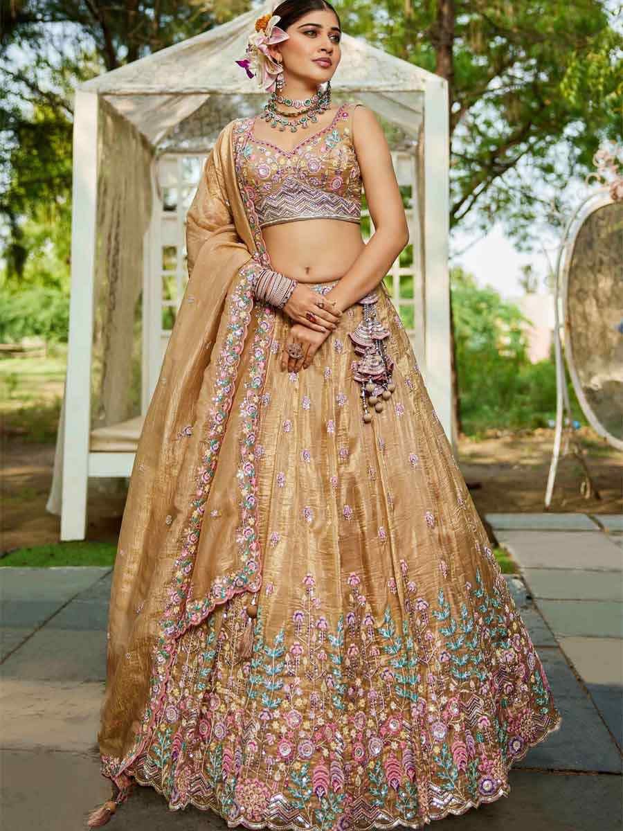 Beige Tissue Embroidered Reception Wedding Heavy Border Lehenga Choli